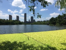 华家池