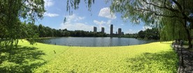 华家池