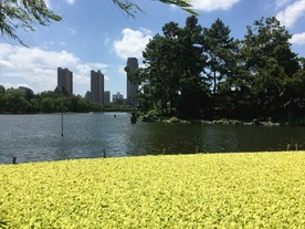华家池
