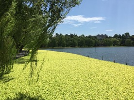 华家池