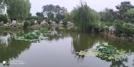 池塘