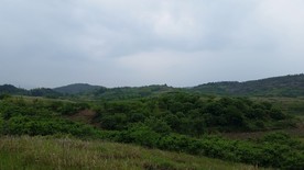 丘陵