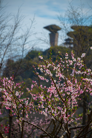 吼山