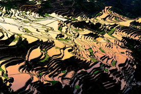 梯田田地风景
