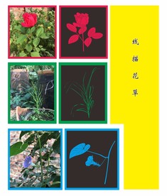 花 草 线描