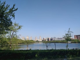 四季 湖面 烟囱 楼 树木
