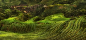 乡村田园风景
