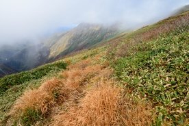 山 山峰 山脉 云海 枯草