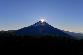 晨阳 阳光 雪山 光芒 山