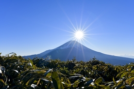 晨阳 阳光 雪山 光芒 山