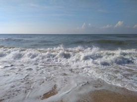 大海