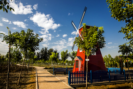 公园 小路 树林 林荫小路
