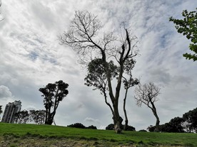 珠海 香山湖公园