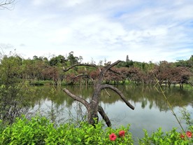 珠海 香山湖公园