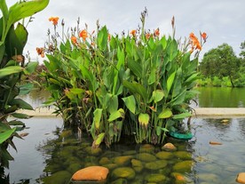 珠海 香山湖公园