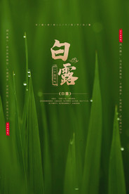 白露