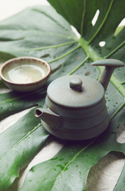 茶壶