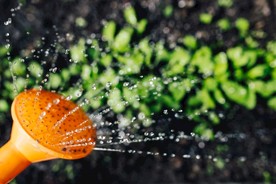 洒水壶
