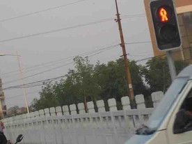 校园/公园摄影