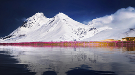 雪山花丛草地风景天空