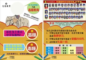 传单
