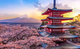 日本樱花