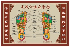 足底穴位反射图