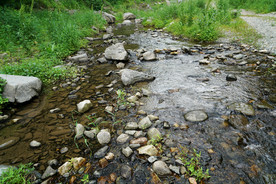 辽宁抚顺筐子沟景区的溪流