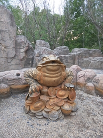 金蟾