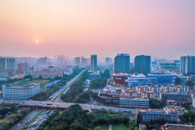 大都市