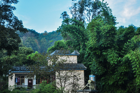 风景