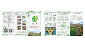 四叶草团队折页