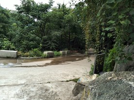 镇平五朵山 旅游 风景自然