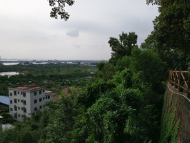 莲花山观音崖