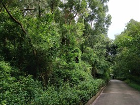 莲花山摄影图