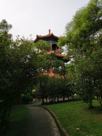 连湖山塔楼摄影图