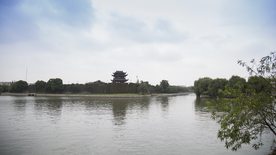 苏州 觅渡桥 桂花公园