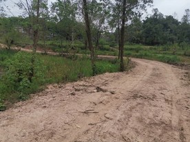 乡村公路