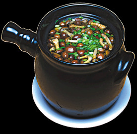 菌汤