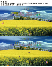 蝴蝶 风景 油菜花 视频