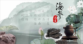 海参海报图片