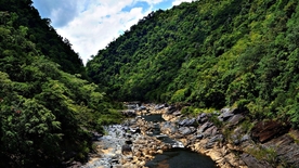 群山山谷森林河流风景