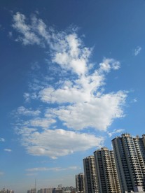 仰望天空