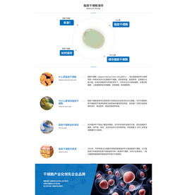 网页