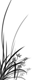 中国风水墨兰花背景