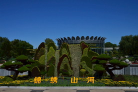 主题花坛