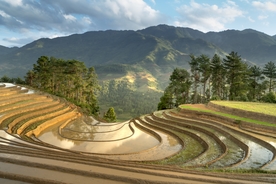 梯田