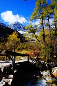毕棚沟风景