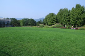 植物园风景