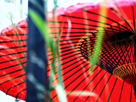 油纸伞